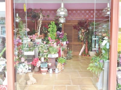 floristería Lirios en Verín