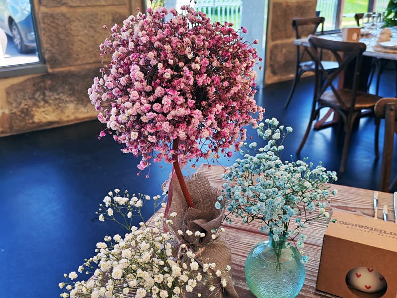 floristería Lirios en Verín