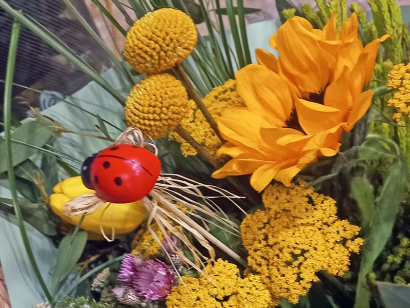 floristería Lirios en Verín